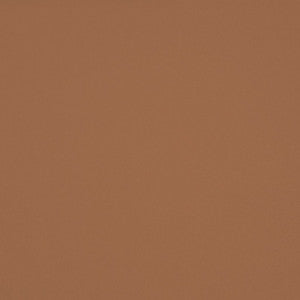 Chaparral Performance FR Faux-Leather Fawn by RM CoCo Fabric