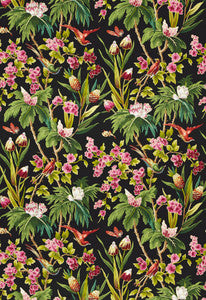 Seychelles Noir 175700 by Schumacher Fabric