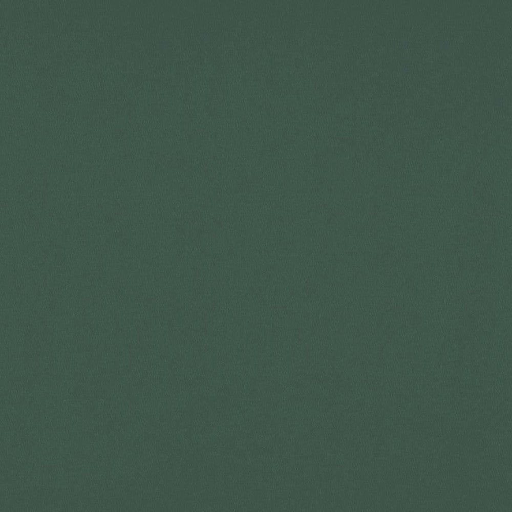 Sundown Wide-Width FR Dimmer Evergreen by RM CoCo Fabric Sundown Wide-Width FR Dimmers 100% Polyester See Sample 0 Horizontal: 0 and Vertical: 0 110 - Fabric Carolina -