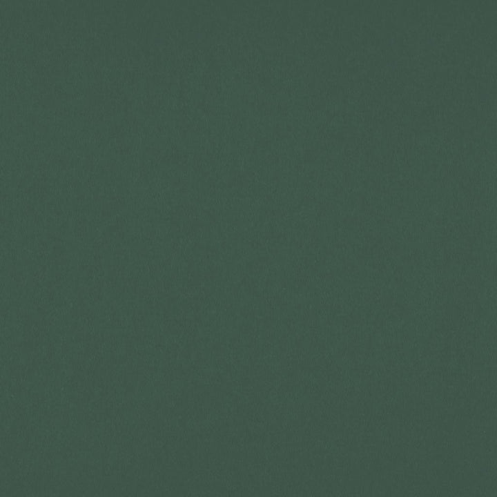 Sundown Wide-Width FR Dimmer Evergreen by RM CoCo Fabric Sundown Wide-Width FR Dimmers 100% Polyester See Sample 0 Horizontal: 0 and Vertical: 0 110 - Fabric Carolina -