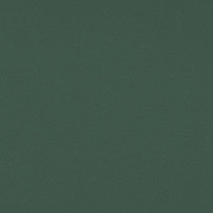 Sundown Wide-Width FR Dimmer Evergreen by RM CoCo Fabric