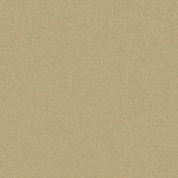 Quasar FR Blackout Zest by RM CoCo Fabric Eclipse Blackouts II 100% Polyester See Sample 0 Horizontal: 0 and Vertical: 0 55 - Fabric Carolina -
