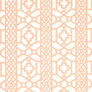 Zanzibar Trellis Coral 175747 by Schumacher Fabric