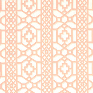 Zanzibar Trellis Coral 175747 by Schumacher Fabric