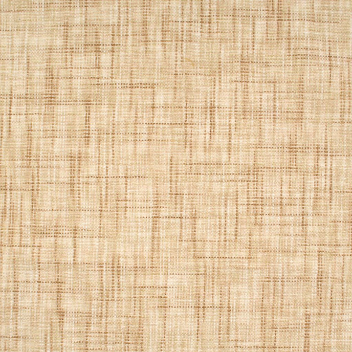 Relic Texture French Vanilla by RM CoCo Fabric Artifacts Collection 100% Polyester See Sample 35000 Horizontal: 0.4 and Vertical: 0.4 54 - Fabric Carolina -