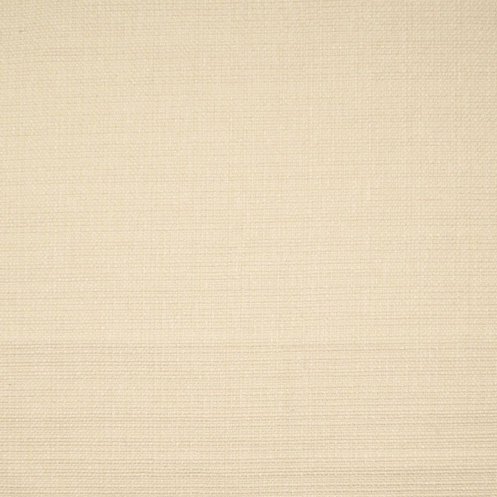 Vestige Texture French Vanilla by RM CoCo Fabric Artifacts Collection 52% Polyester 48% Cotton See Sample 51000 Horizontal: 0 and Vertical: 0 54 - Fabric Carolina -