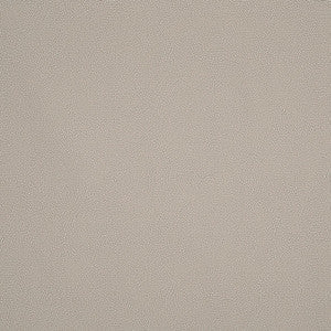 Constellation Indoor/Outdoor Shell 175881 by Schumacher Fabric