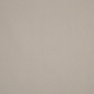 Constellation Indoor/Outdoor Shell 175881 by Schumacher Fabric