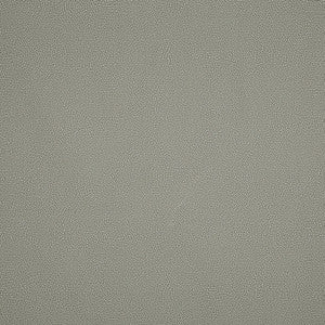 Constellation Indoor/Outdoor Sea Salt 175882 by Schumacher Fabric
