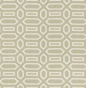 Pavillion Sage 176143 by Schumacher Fabric