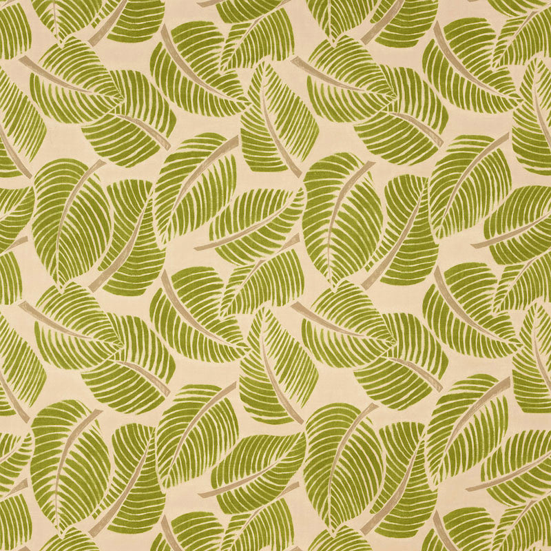 Costa Rica Leaf 176190 by Schumacher Fabric Good Vibrations COTTON 100% ITALY MARTINDALE 20,000 </p><p>Repeat: Horizontal: 55" (140CM) and Vertical: 47" (119CM) 55 - Fabric Carolina -