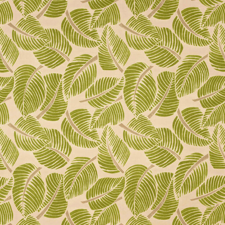 Costa Rica Leaf 176190 by Schumacher Fabric Good Vibrations COTTON 100% ITALY MARTINDALE 20,000 </p><p>Repeat: Horizontal: 55" (140CM) and Vertical: 47" (119CM) 55 - Fabric Carolina -