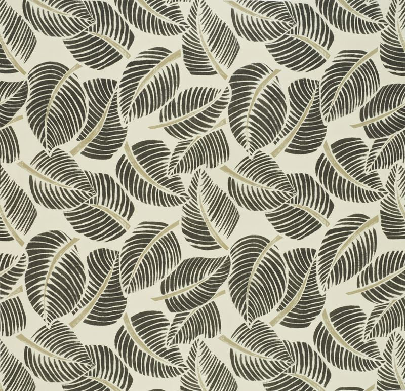 Costa Rica Faded Black 176193 by Schumacher Fabric Good-Vibrations 100% Cotton Martindale 20,000 Horizontal: 55 and Vertical: 47 55 - Fabric Carolina -