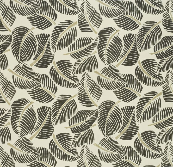 Costa Rica Faded Black 176193 by Schumacher Fabric Good-Vibrations 100% Cotton Martindale 20,000 Horizontal: 55 and Vertical: 47 55 - Fabric Carolina -
