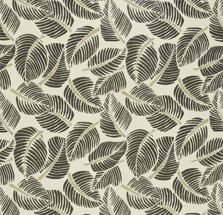 Costa Rica Faded Black 176193 by Schumacher Designer Fabric Good Vibrations See Sample ITALY MEDIUM DUTY </p><p>Repeat: Horizontal: 55" (140CM) and Vertical: 47" (119CM) 55" (140CM) - Swanky Fabrics -