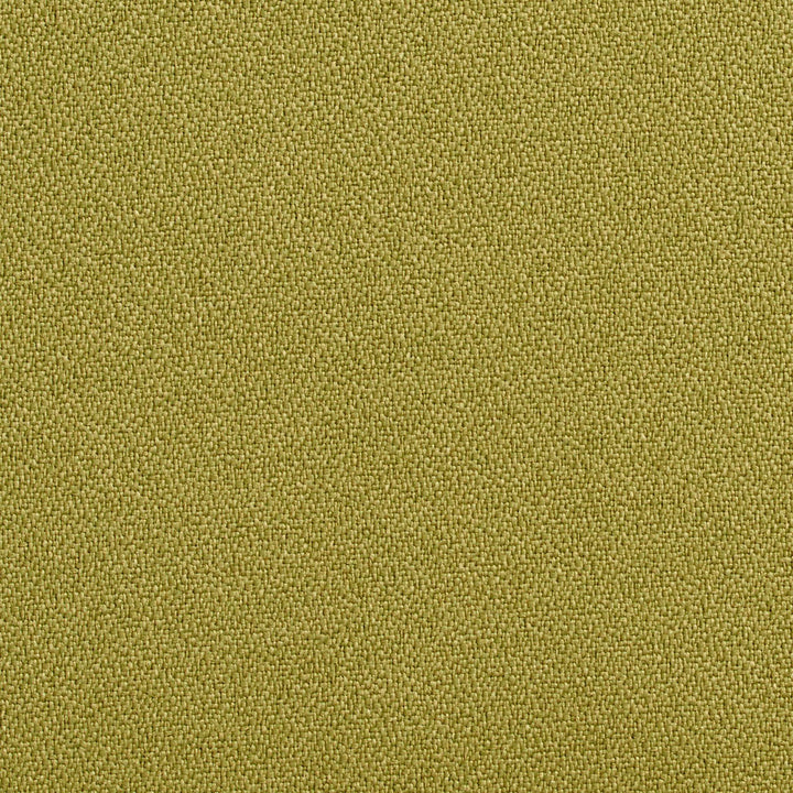 1763 Aloe by Charlotte Fabric Durables 100% Recycled Polyester Made In USA Exceeds 100,000 Wyzenbeek Rubs (Heavy Duty) No Repeat 54 Inches - Fabric Carolina -