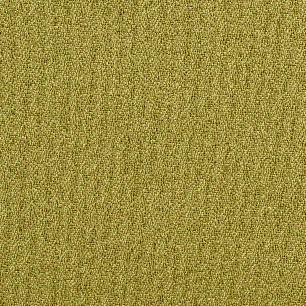 1763 Aloe by Charlotte Fabric Durables 100% Recycled Polyester Made In USA Exceeds 100,000 Wyzenbeek Rubs (Heavy Duty) </p><p>Repeat: 54 Inches - Fabric Carolina -