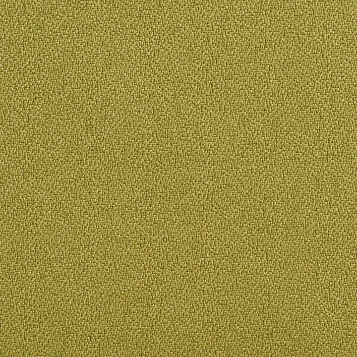 1763 Aloe by Charlotte Designer Fabric Durables 100% Recycled Polyester Made In USA Exceeds 100,000 Wyzenbeek Rubs (Heavy Duty) </p><p>Repeat: 54 Inches - Swanky Fabrics -