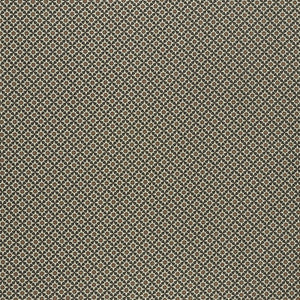 Serendipity Cinder & Caramel 176420 by Schumacher Fabric
