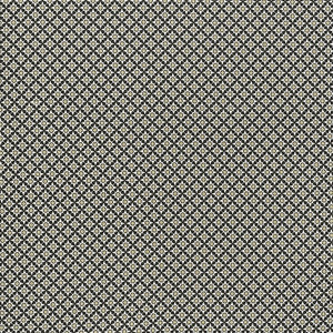 Serendipity Black & Taupe 176421 by Schumacher Fabric