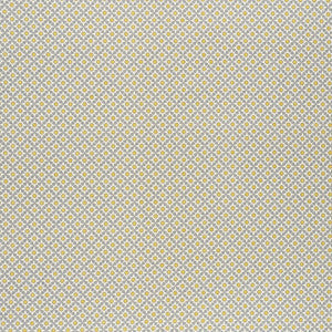 Serendipity Bay & Citron 176426 by Schumacher Fabric