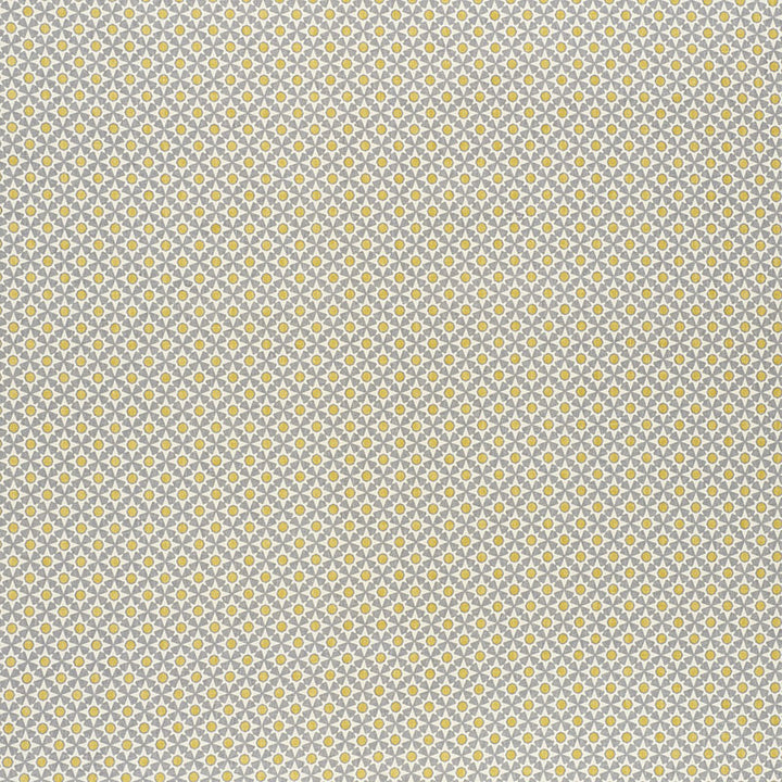 Serendipity Bay & Citron 176426 by Schumacher Fabric Clique 100% Linen - Horizontal: 1.5 and Vertical: 1.5 54 - Fabric Carolina -