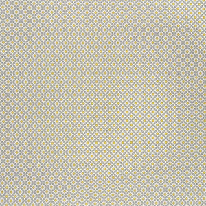Serendipity Bay & Citron 176426 by Schumacher Fabric