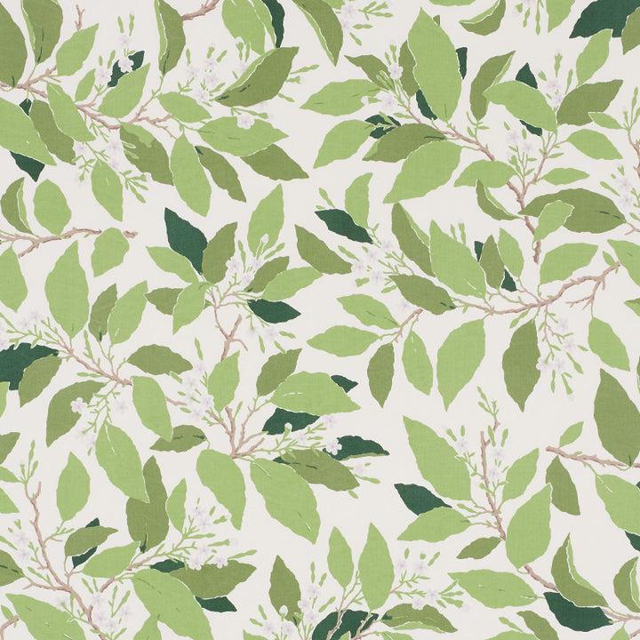 Dogwood Leaf Ivory 176520 by Schumacher Fabric Miles-Redd 100% Cotton - Horizontal: 27 and Vertical: 32 54 - Fabric Carolina -