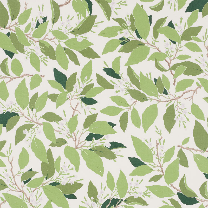 Dogwood Leaf Ivory 176520 by Schumacher Fabric MILES REDD COTTON 100% PAKISTAN </p><p>Repeat: Horizontal: 27" (69CM) and Vertical: 32" (81CM) 54 - Fabric Carolina -