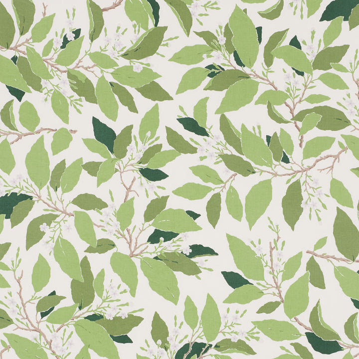 Dogwood Leaf Ivory 176520 by Schumacher Fabric MILES REDD COTTON 100% PAKISTAN </p><p>Repeat: Horizontal: 27" (69CM) and Vertical: 32" (81CM) 54 - Fabric Carolina -