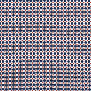 Cosmos Ii Navy & Red 176550 by Schumacher Fabric