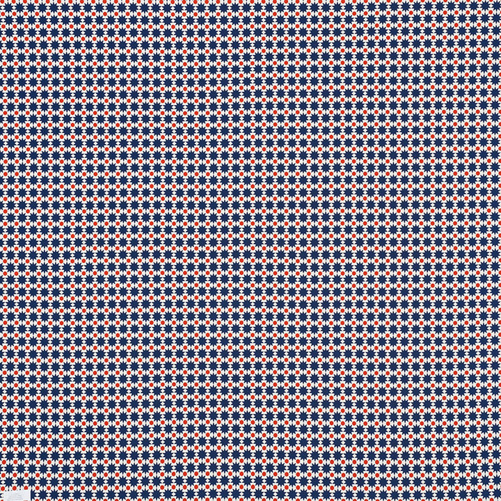 Cosmos Ii Navy & Red 176550 by Schumacher Fabric INDOOR/OUTDOOR STUDIO BON ACRYLIC PLAIN WEAVE 100% UNITED STATES OF AMERICA WYZENBEEK 15,000 </p><p>Repeat: Horizontal: 1 1/8" (3CM) and Vertical: 1 1/4" (3CM) 54 - Fabric Carolina -