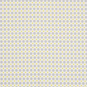 Cosmos Ii Grey & Yellow 176551 by Schumacher Fabric