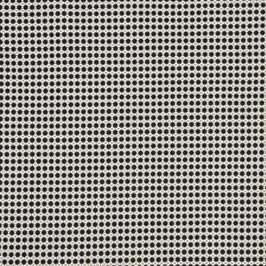 Cosmos Ii Black & Sand 176552 by Schumacher Fabric