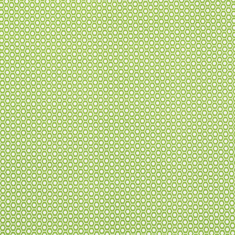 Queen B II Green 176560 by Schumacher Fabric Indooroutdoor-By-Studio-Bon 100% Acrylic Wyzenbeek 15,000 Horizontal: 1.25 and Vertical: 7/8- 54 - Fabric Carolina -