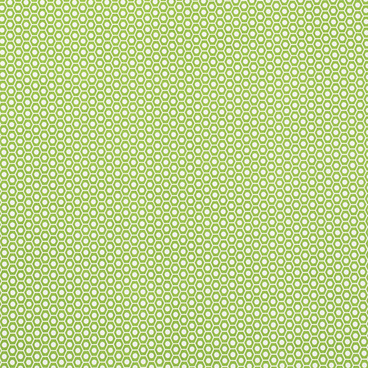 Queen B II Green 176560 by Schumacher Fabric Indooroutdoor-By-Studio-Bon 100% Acrylic Wyzenbeek 15,000 Horizontal: 1.25 and Vertical: 7/8- 54 - Fabric Carolina -