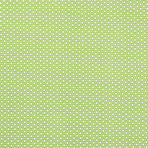 Queen B Ii Green 176560 by Schumacher Fabric