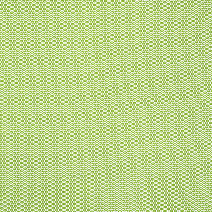 Queen B Ii Green 176560 by Schumacher Fabric INDOOR/OUTDOOR STUDIO BON ACRYLIC PLAIN WEAVE 100% UNITED STATES OF AMERICA WYZENBEEK 15,000 </p><p>Repeat: Horizontal: 1 1/4" (3CM) and Vertical: 7/8" (2CM) 54 - Fabric Carolina -