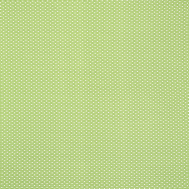 Queen B Ii Green 176560 by Schumacher Fabric INDOOR/OUTDOOR STUDIO BON See Sample UNITED STATES OF AMERICA MEDIUM </p><p>Repeat: Horizontal: 1 1/4" (3CM) and Vertical: 7/8" (2CM) 54" (137CM) - Fabric Carolina -