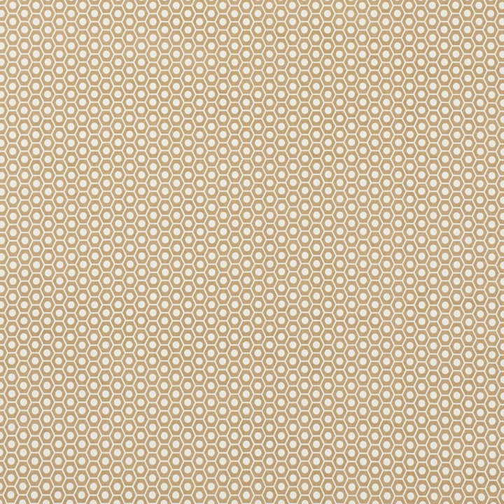 Queen B II Sand 176561 by Schumacher Fabric Indooroutdoor-By-Studio-Bon 100% Acrylic Wyzenbeek 15,000 Horizontal: 1.25 and Vertical: 7/8- 54 - Fabric Carolina -