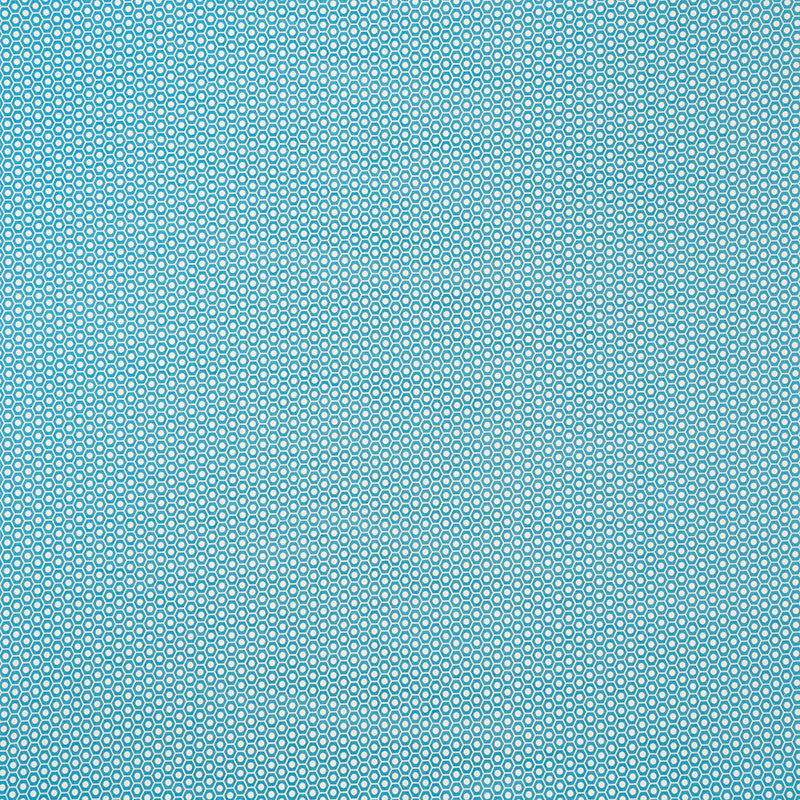 Queen B Ii Aqua 176563 by Schumacher Fabric INDOOR/OUTDOOR STUDIO BON See Sample UNITED STATES OF AMERICA MEDIUM </p><p>Repeat: Horizontal: 1 1/4" (3CM) and Vertical: 7/8" (2CM) 54" (137CM) - Fabric Carolina -
