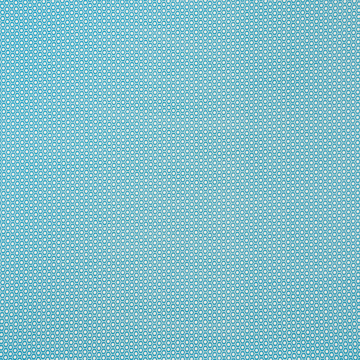 Queen B Ii Aqua 176563 by Schumacher Fabric INDOOR/OUTDOOR STUDIO BON See Sample UNITED STATES OF AMERICA MEDIUM </p><p>Repeat: Horizontal: 1 1/4" (3CM) and Vertical: 7/8" (2CM) 54" (137CM) - Fabric Carolina -