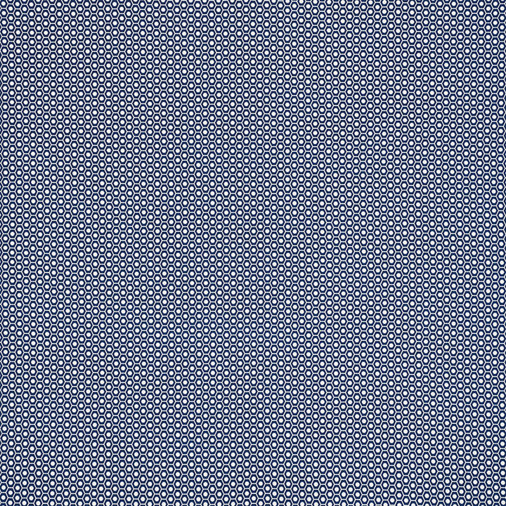 Queen B Ii Navy 176564 by Schumacher Fabric INDOOR/OUTDOOR STUDIO BON ACRYLIC PLAIN WEAVE 100% UNITED STATES OF AMERICA WYZENBEEK 15,000 </p><p>Repeat: Horizontal: 1 1/4" (3CM) and Vertical: 7/8" (2CM) 54 - Fabric Carolina -
