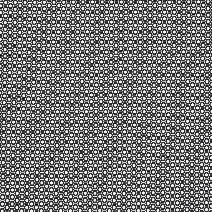 Queen B II Black 176566 by Schumacher Fabric Indooroutdoor-By-Studio-Bon 100% Acrylic Wyzenbeek 15,000 Horizontal: 1.25 and Vertical: 7/8- 54 - Fabric Carolina -