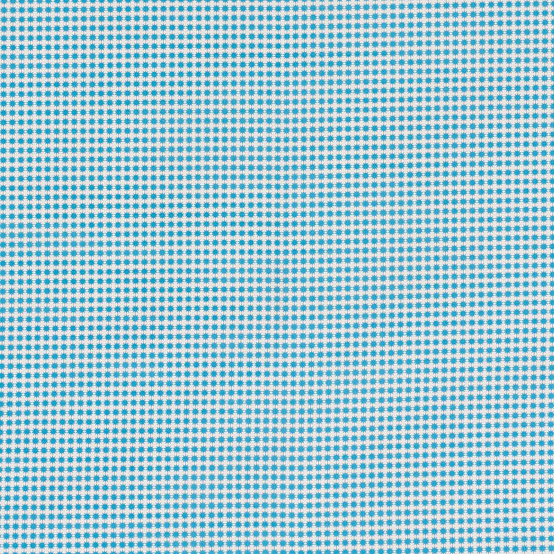 Stella II Aqua 176573 by Schumacher Fabric Indooroutdoor-By-Studio-Bon 100% Acrylic Wyzenbeek 15,000 Horizontal: 3/8- and Vertical: 3/8- 54 - Fabric Carolina -