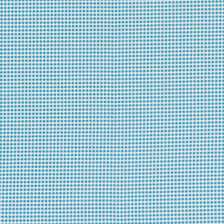 Stella II Aqua 176573 by Schumacher Fabric Indooroutdoor-By-Studio-Bon 100% Acrylic Wyzenbeek 15,000 Horizontal: 3/8- and Vertical: 3/8- 54 - Fabric Carolina -