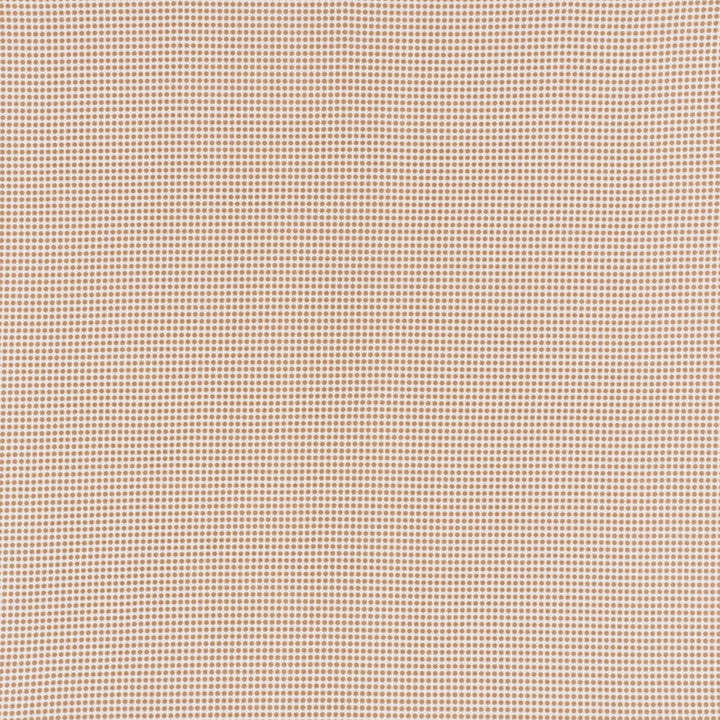 Stella Ii Sand 176574 by Schumacher Fabric INDOOR/OUTDOOR STUDIO BON ACRYLIC PLAIN WEAVE 100% UNITED STATES OF AMERICA WYZENBEEK 15,000 </p><p>Repeat: Horizontal: 3/8" (1CM) and Vertical: 3/8" (1CM) 54 - Fabric Carolina -