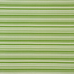 Stripedot Ii Green 176590 by Schumacher Fabric