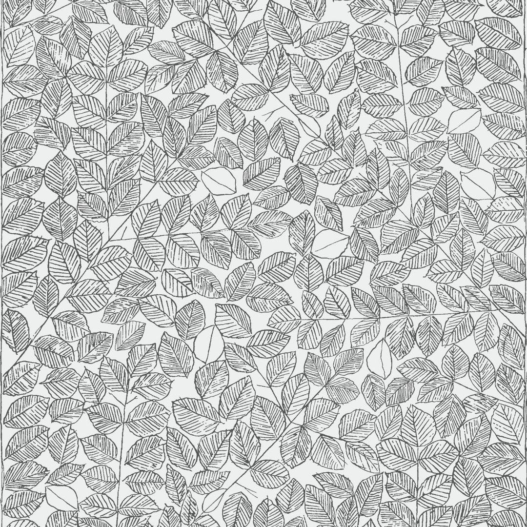 Romans - Black by Schumacher Wallcovering