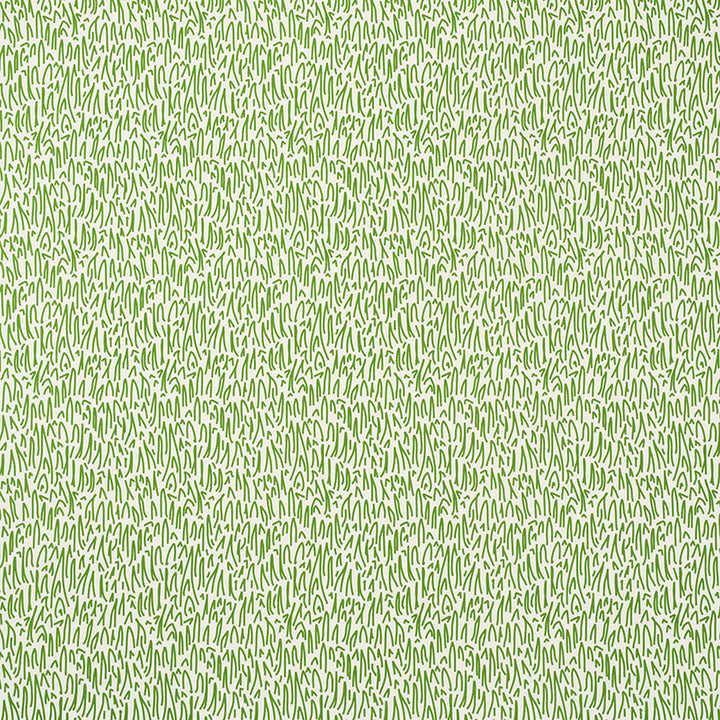 Grass Ii Green 176600 by Schumacher Fabric INDOOR/OUTDOOR STUDIO BON ACRYLIC PLAIN WEAVE 100% UNITED STATES OF AMERICA WYZENBEEK 15,000 </p><p>Repeat: Horizontal: 9" (23CM) and Vertical: 16 3/4" (43CM) 54 - Fabric Carolina -